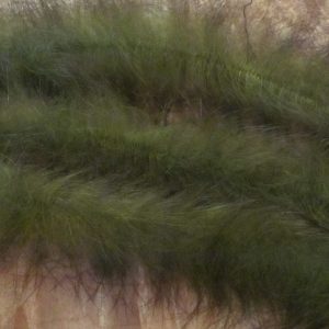 MFC Bunny Brush